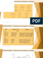 Ácidos Nucleicos