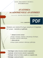 2. Anatomia Subdomenii