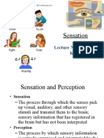lec 7 sensation pdf