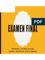 Examen Final - Programacion de Obra