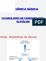 Bioquímica Básica: Catabolismo de Carboidratos via Glicólise
