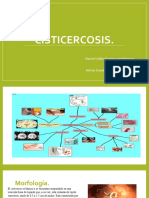 CISTICERCOSIS: DETECCIÓN, DIAGNÓSTICO Y TRATAMIENTO