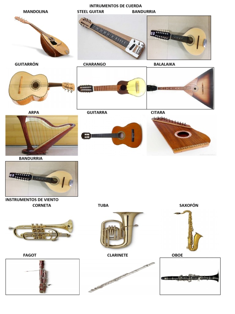 INTRUMENTOS DE CUERDA, Instrumentos de Percusion | PDF