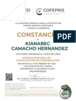 Constancia-SICAD Kiana