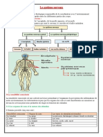 Le Systeme Nerveux