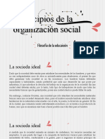 Principios de La Organizacion Social