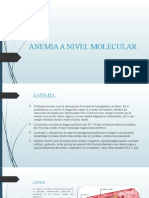 Anemia a nivel molecular: causas, clasificación y hallazgos de laboratorio