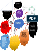 Mapa Mental Del Poririato PDF