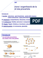 Tema 2.1. Estructura I Organització de La Cèl Lula Procariota - 21-22