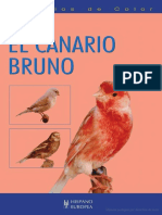 333137060 236426454 El Canario Bruno Canarios de Color