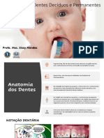 AULA 3 Anatomia Dos Dentes Decíduos e Permanentes