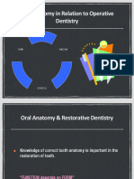 Oral Anatomy in Relation To Operative Dentistry (L2)