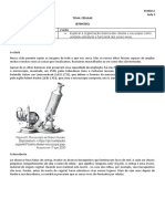 Aula 2 - Célula - 6ºANO