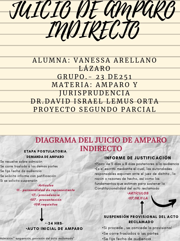 Diagrama del Juicio de Amparo Indirecto | PDF | Justicia | Crimen y ...