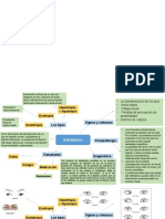 Mapas Estrabismo