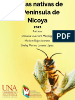 La importancia histórica de las abejas autóctonas en la Península de Nicoya