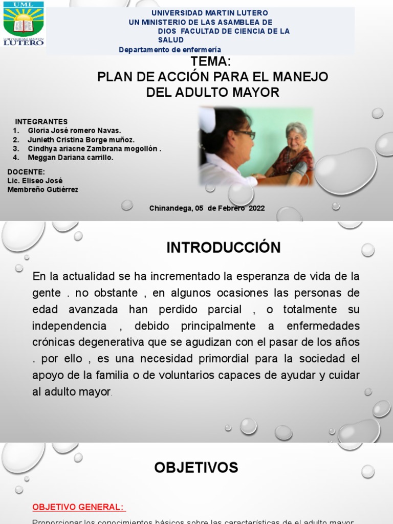 Plan de Acción para Adultos Mayores | PDF | Adultos