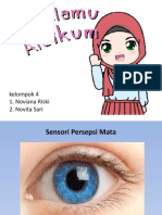 Sensori Persepsi Mata