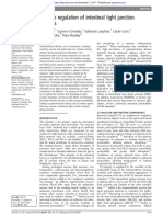 Exercise regulation of intestinal tight junction