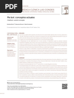 PIE-BOT-CONCEPTOS-ACTUALES