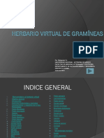 herbario_virtual_gramineas