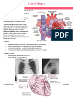 Cardiologia: Anatomia, Fisiologia e Ciclo Cardíaco