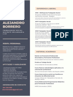 C.V. Alejandro Borrero Trabajador Social y Docente Secundaria FP