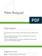 Plexo Braquial pdf2