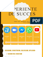 Prezentare ''Experiente de Succes''