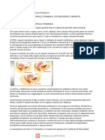 Anatomia e fecondazione