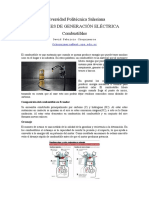 Combustibles