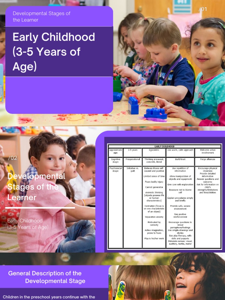 Developmental Stages Of The Learner Download Free Pdf Thought