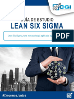2_Lean Six Sigma Una Metodologia Aplicada a Procesos Reales_CGI