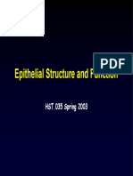 Epithelial Structure and Function: HST.035 Spring 2003