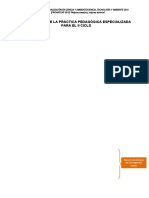 Orientaciones Para La PPE (II Ciclo)