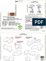 Bonsai Retorcido - TEMPLATE A3