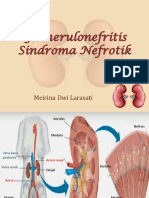 5 - Glomerulonefritis Dan Sindroma Nefrotik