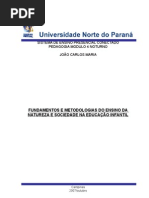 17163293 Fundamentos e Metodologias Do Ensino Da Natureza e Sociedade Na Educacao Infantil Meus Artigos Joao c Maria