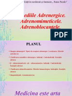 Remediile Adrenergice. Adrenomimeticele. Adrenoblocantele