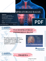 Vias Respiratorias Bajas