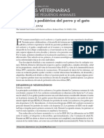 Neurologia Pediatrica Del Perro y El Gato