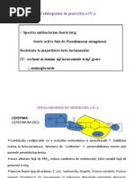 betalactamine_suportcurs_4_de printat