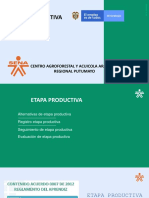 Diapositivas ETAPA PRODUCTIVA 2019