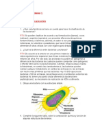 Taller para La Semana 2