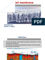 Cell Membrane: A Selective Barrier