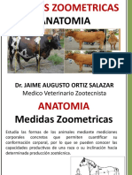 Medidas Zoometricas