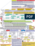 346909756 Esquemas Nueva LPAC Vertical(Procedimiento Administrativo Ley39