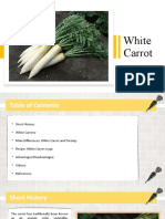 White Carrot - Keita - Danilova - 3.kurss