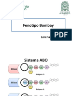 Fenotipo Bombay