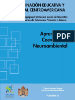 Aprendizaje, Coevolución Neuroambiental: Coordinación Educativa Y Cultural Centroamericana